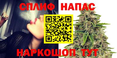 прущие грибы Белореченск